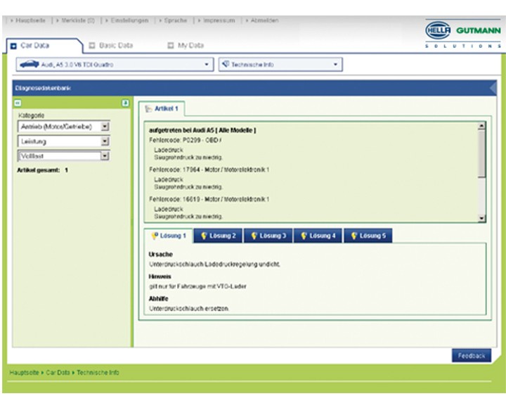 HGS Data: Diagnosedatenbank