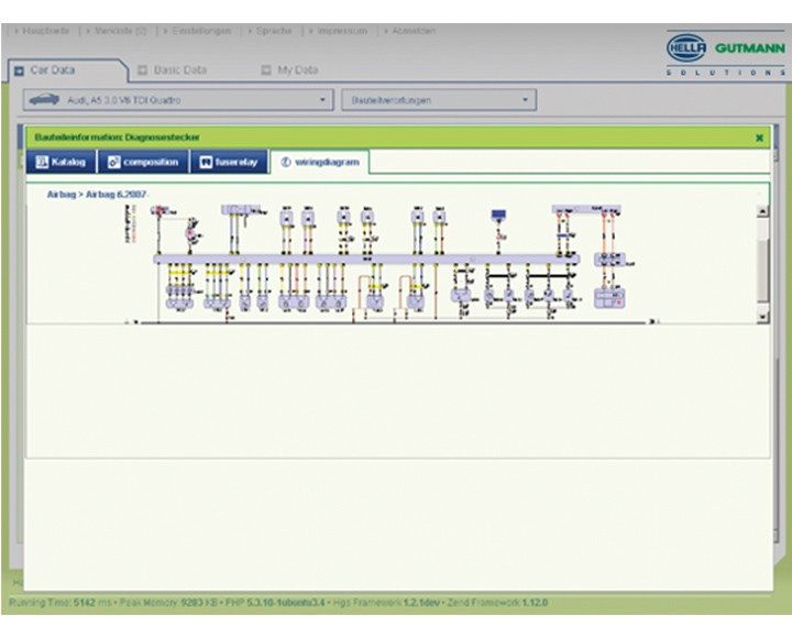 HGS Data: Diagnosedatenbank