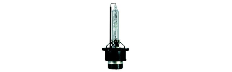 Gas discharge lamp