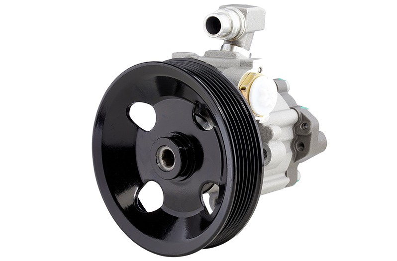 Steering pump with pulley