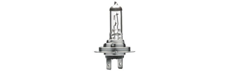 Basic principles of lighting technology: Halogen bulb