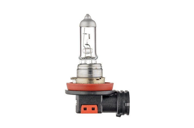 Bulb - product image 4