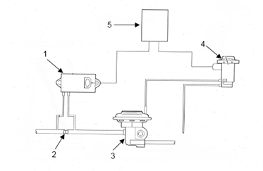 bi_d_electronics_ford_maverick_motorkontrollleuchte001