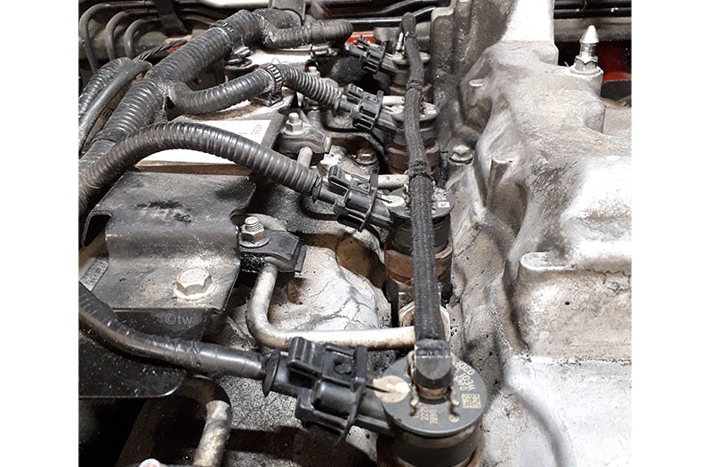 Ford Ranger 3.0 TDCI - injector connectors on harness